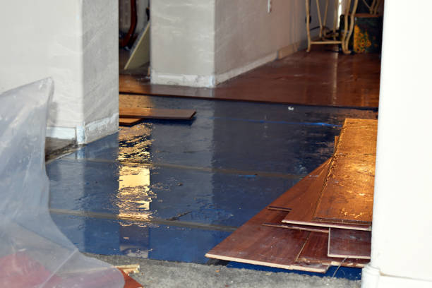Professional Sewage Cleanup technician working in Hustisford, WI